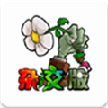 植物大战僵尸杂交版2.3